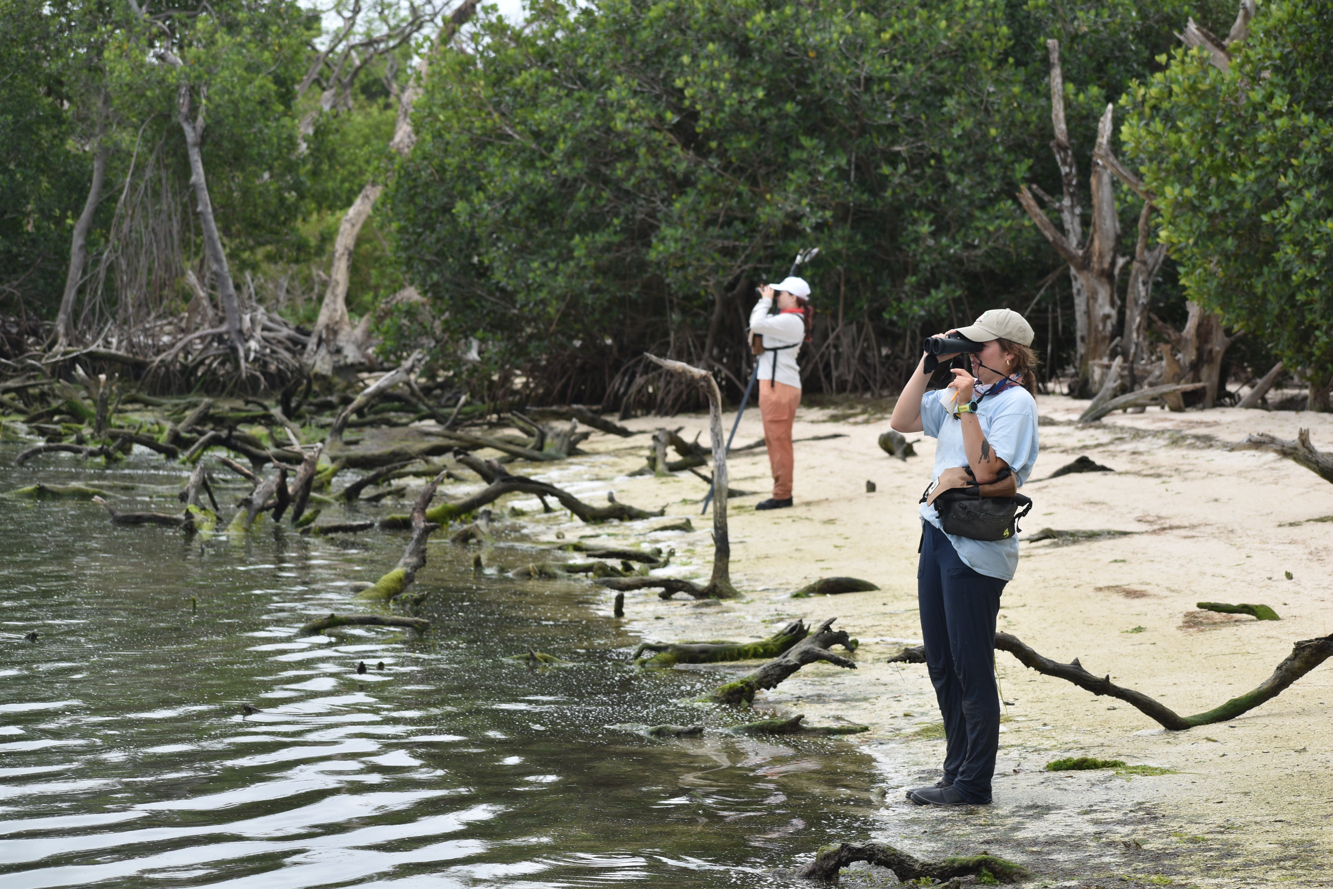 Two people with binoculars stand on a beach littered with branches.